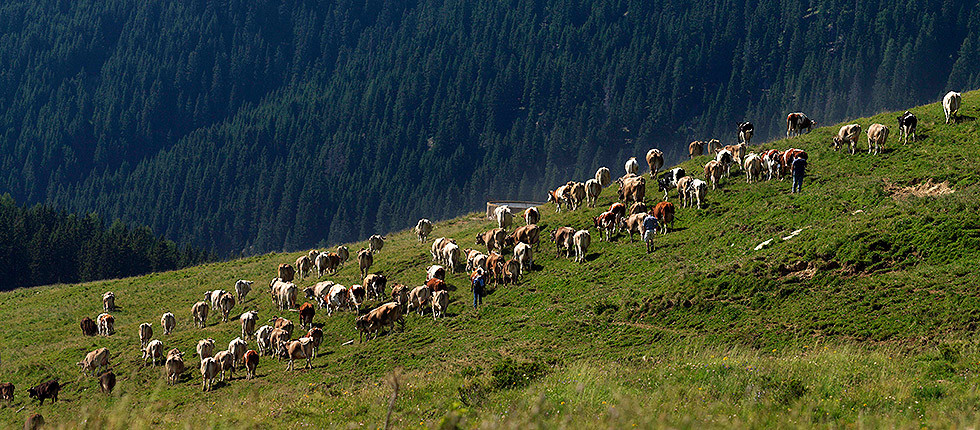 17 Prozent der Landesfläche stehen unter Naturschutz, die Dolomiten sind zum UNESCO-Weltnaturerbe erklärt worden. 