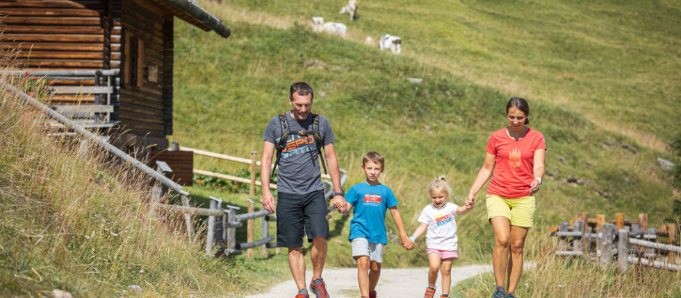 A Cavalese potrete intraprendere numerose escursioni sulle Dolomiti e piacevoli passeggiate.
