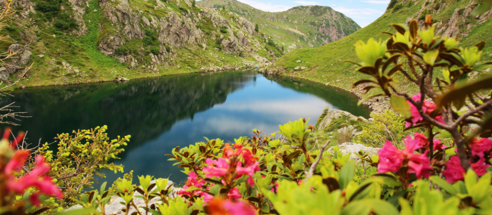Grazie alle offerte per il tempo libero di Cavalese, alle falde delle Dolomiti, avrete l’imbarazzo della scelta durante la vostra vacanza nel cuore della Val di Fiemme.